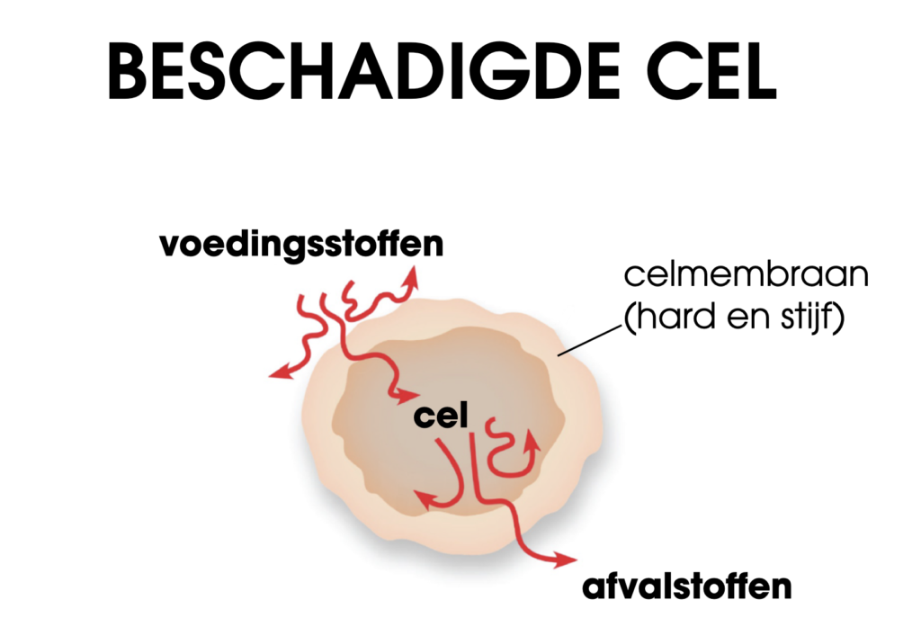 Beschadigde cel