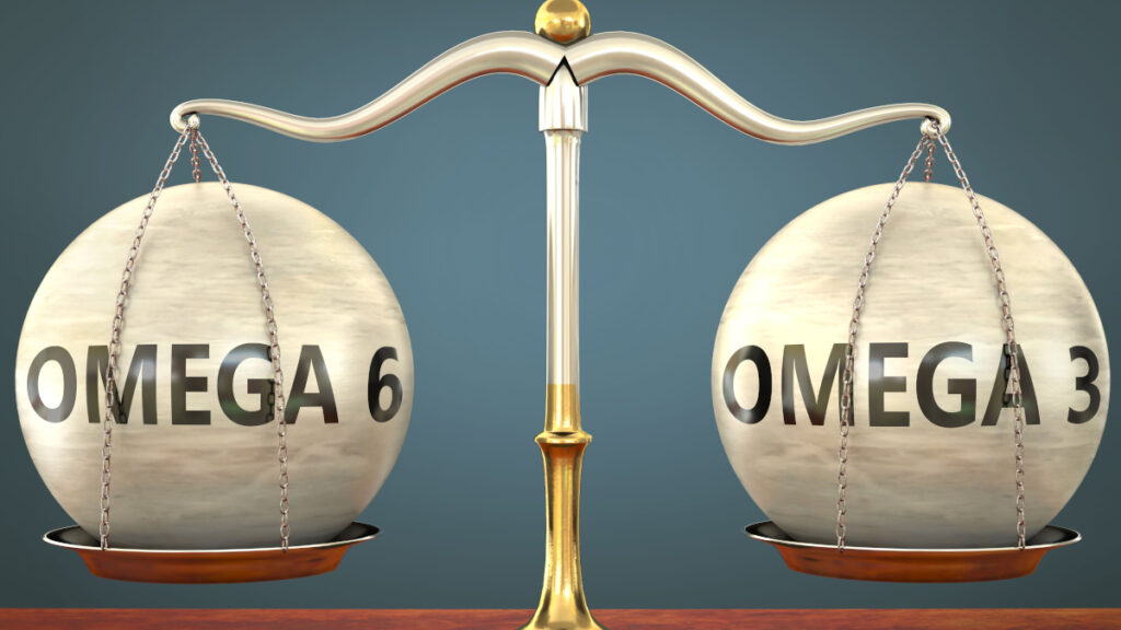 Omega-6 en omega-3 balans